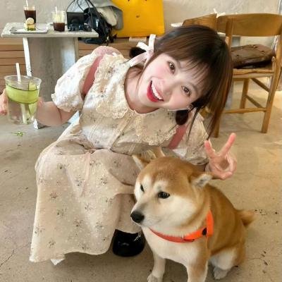万花锦绣